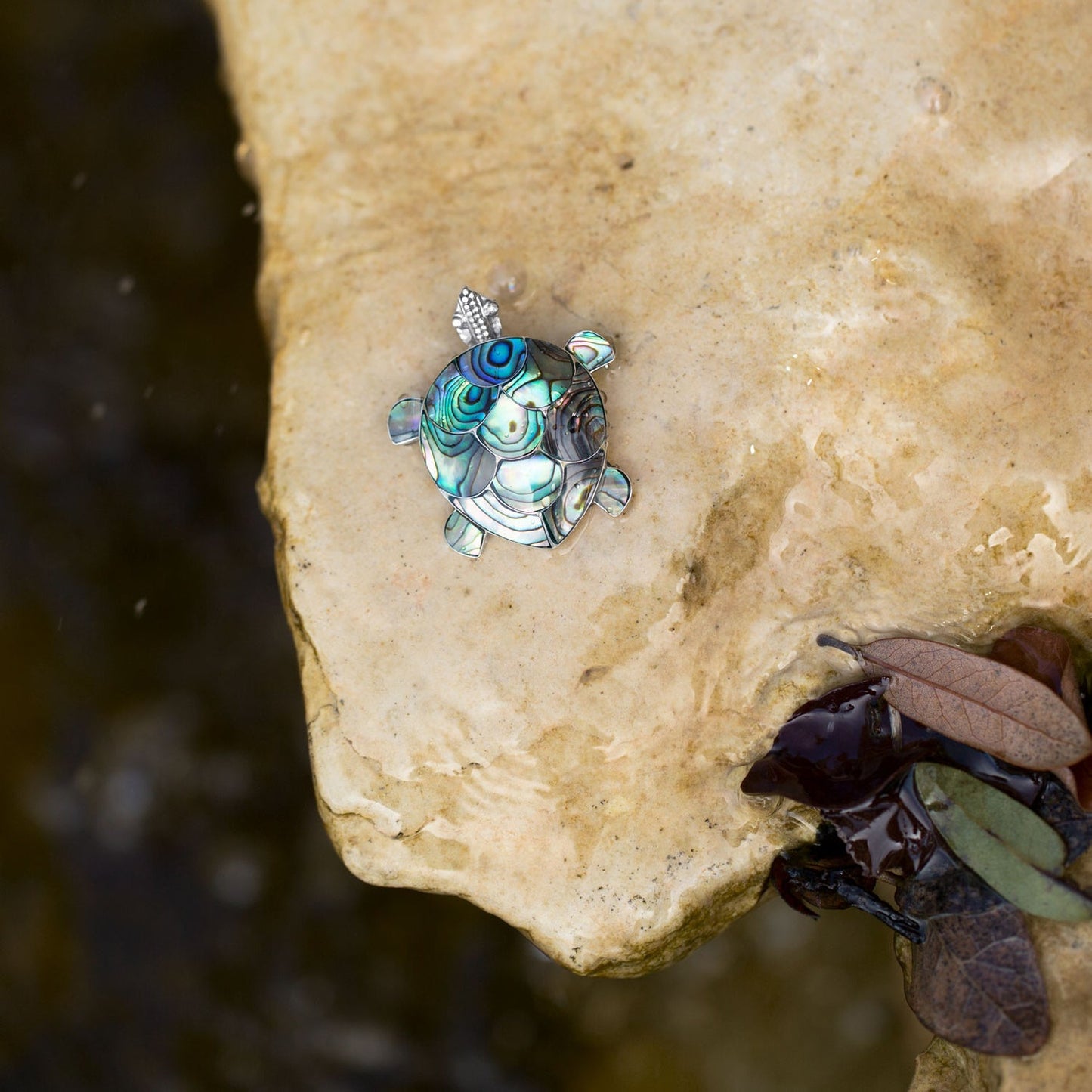 Paua Shell Turtle Pendant